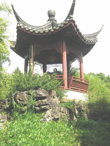 DSCN3486.jpg