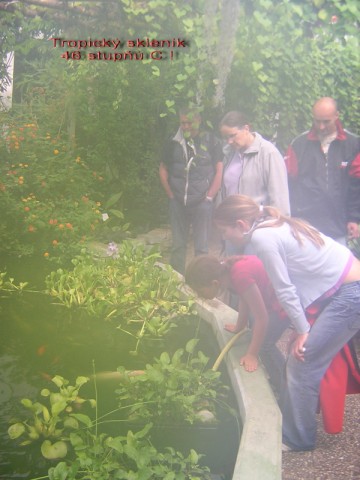 DSCN3506.jpg