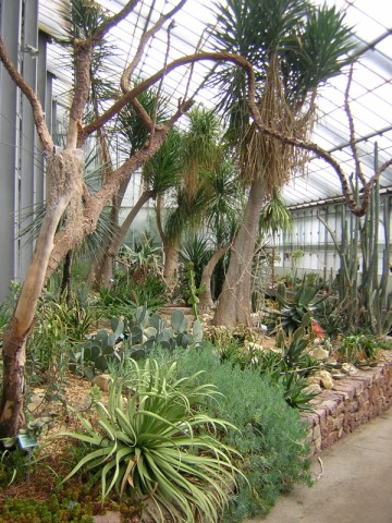 DSCN3508.jpg