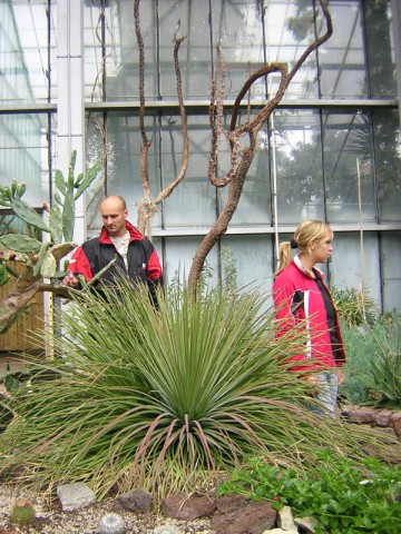 DSCN3509.jpg