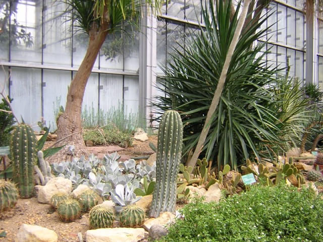 DSCN3512.JPG