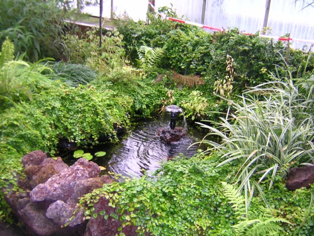 DSCN3518.JPG