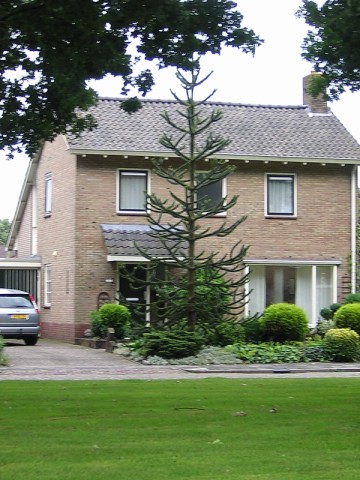 DSCN3555.jpg
