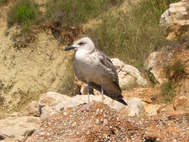 DSCN2549.JPG