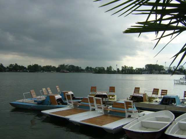 DSCN2229.JPG