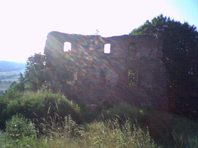 SP_A0330.jpg