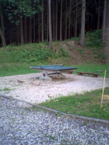 SP_A0348.jpg