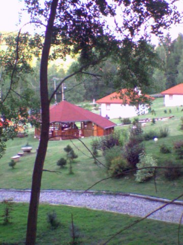 SP_A0350.jpg