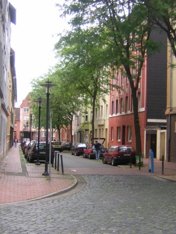 DSCN3313.jpg