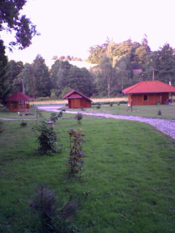 SP_A0355.jpg