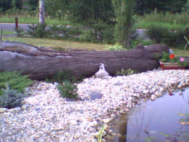 SP_A0361.jpg