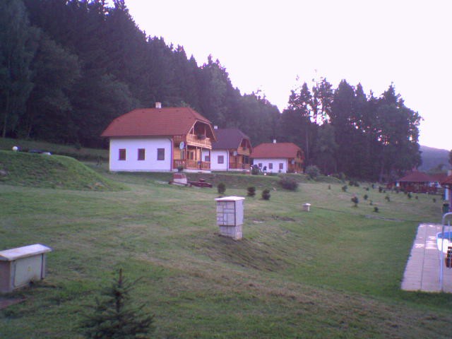 SP_A0371.jpg