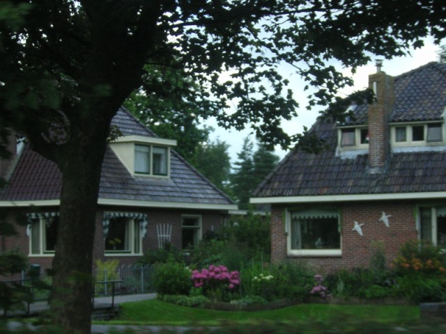 DSCN3380.JPG