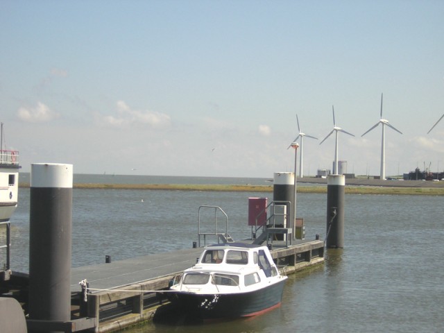 DSCN3399.jpg