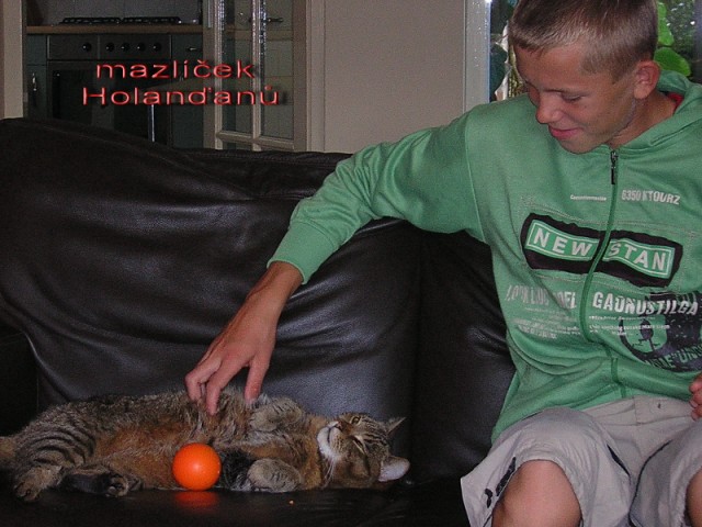DSCN3417.jpg