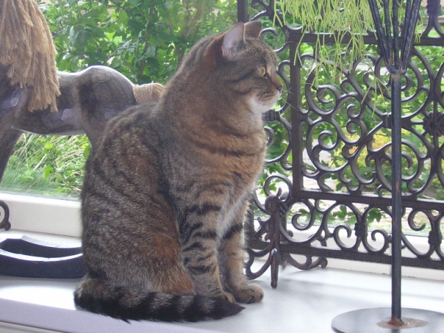 DSCN3424.JPG