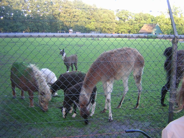DSCN3449.JPG