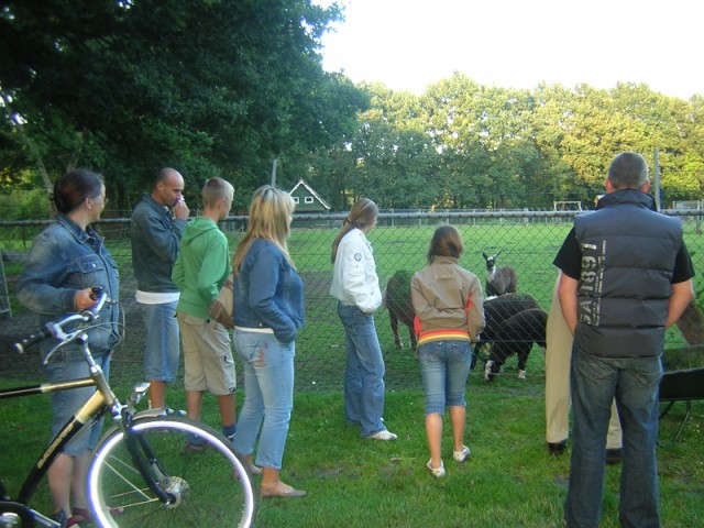 DSCN3450.JPG