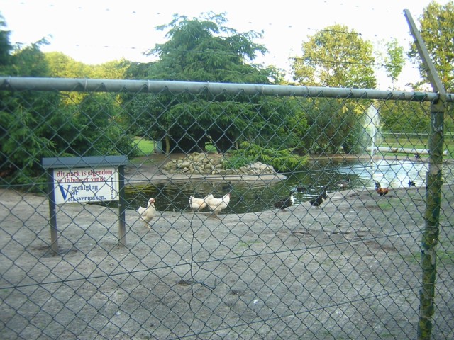 DSCN3453.JPG